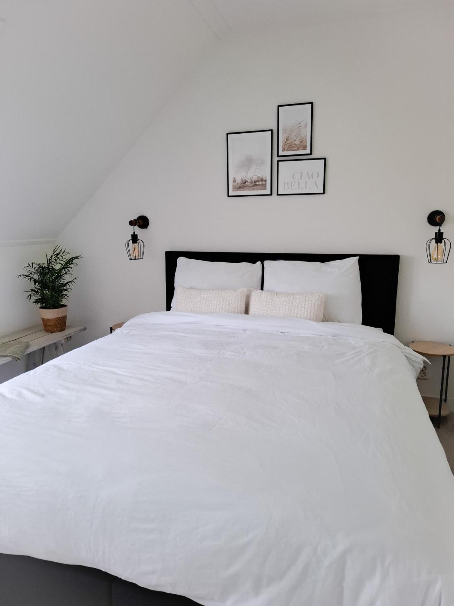De Bokkeleane Bed and Breakfast Kolderwolde Esterno foto